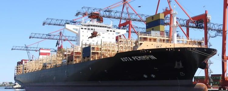 Kota Pemimpin: navio com bandeira de Hong Kong tem suspeita de coronavírus afastada pela Anvisa