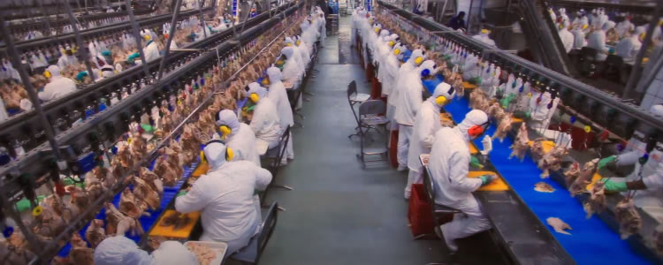 BRF (BRFS3) compra empresa saudita de processamento de alimentos