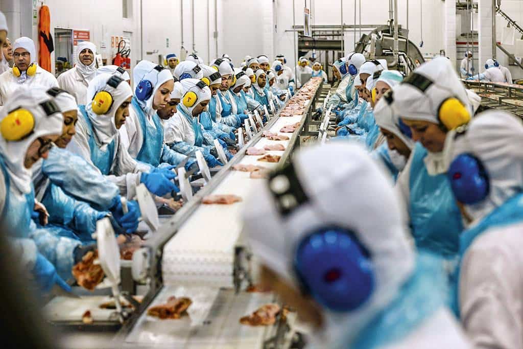 BRF (BRFS3) lucra R$ 307 mi no balanço do 2TRI20, alta de 60%