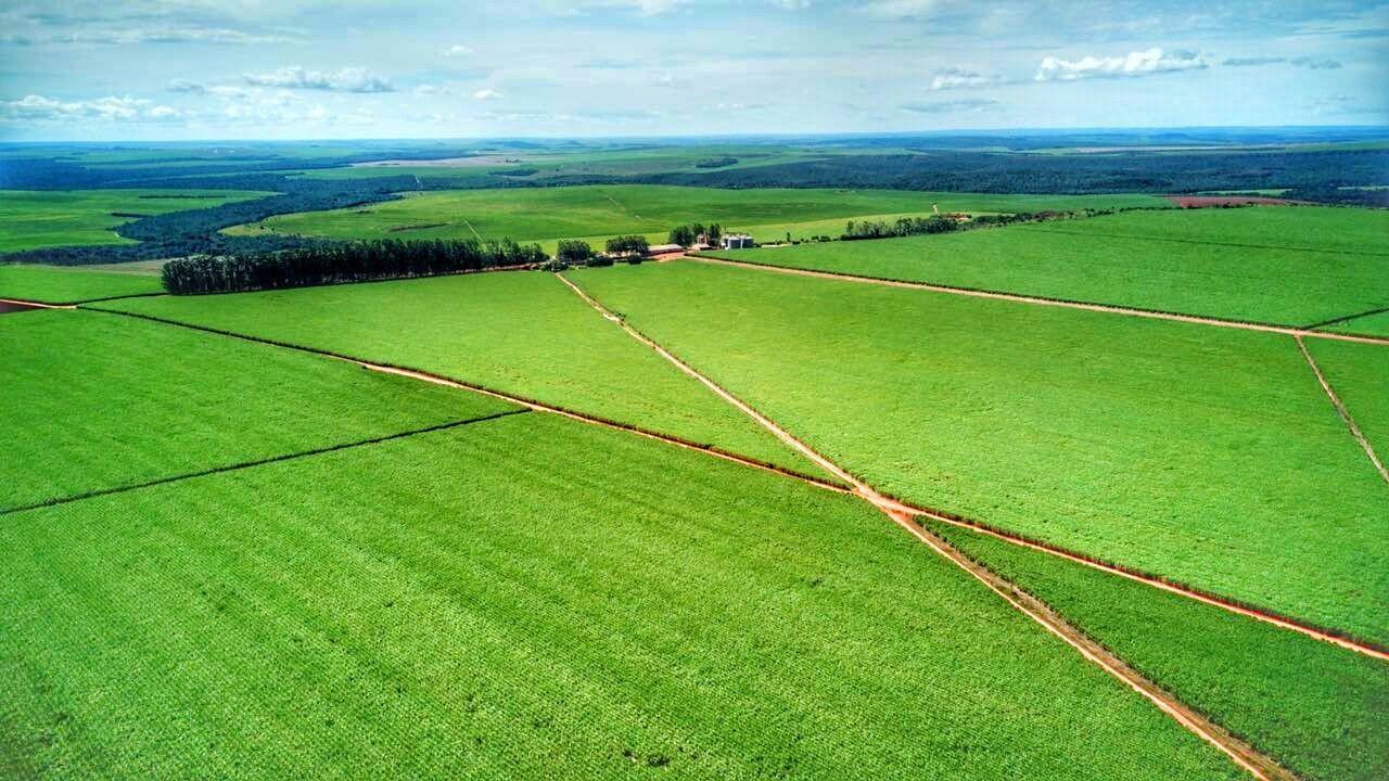 BrasilAgro, agronegócio, agropecuária