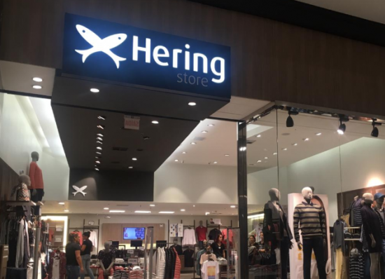 Hering, HGTX3