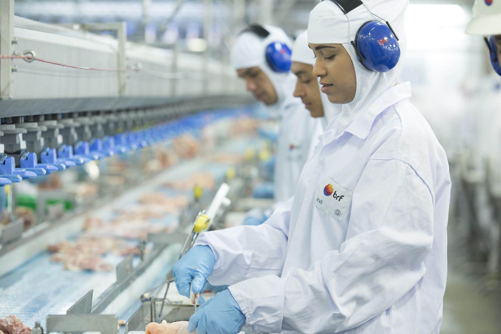 BRF (BRFS3), Via Varejo (VVAR3) e Eletrobras (ELET6) soltam balanços