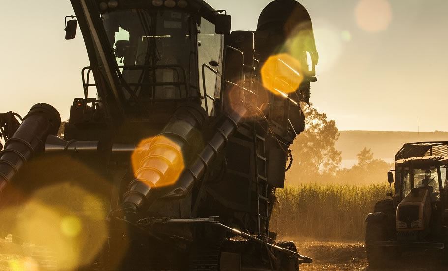 Bolsa: Cosan (CSAN3) tem a maior alta do pregão e Petrobras (PETR3), a baixa