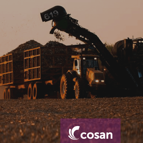 Cosan (CSAN3), Hapvida (HAPV3) e Tenda (TEND3) pagam dividendos e JCP