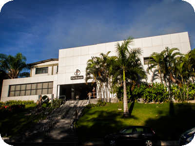 Small caps: Ferbasa (FESA4) e Petz (PETZ3) são as mais recomendadas de agosto