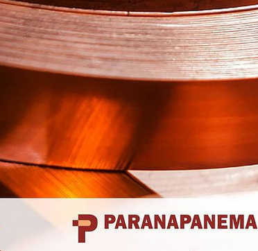 Paranapanema (PMAM3)