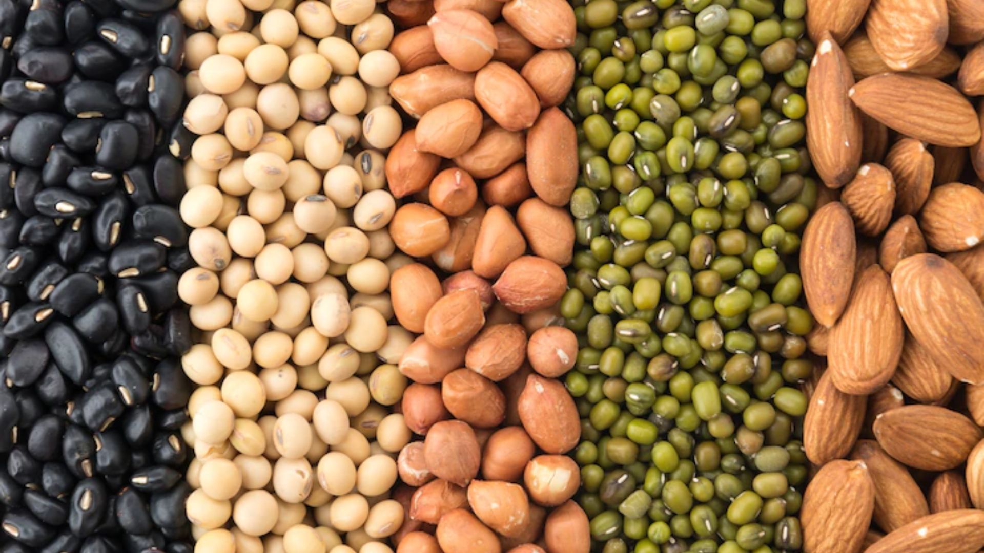 BTG divulga relatório sobre as expectativas para as commodities