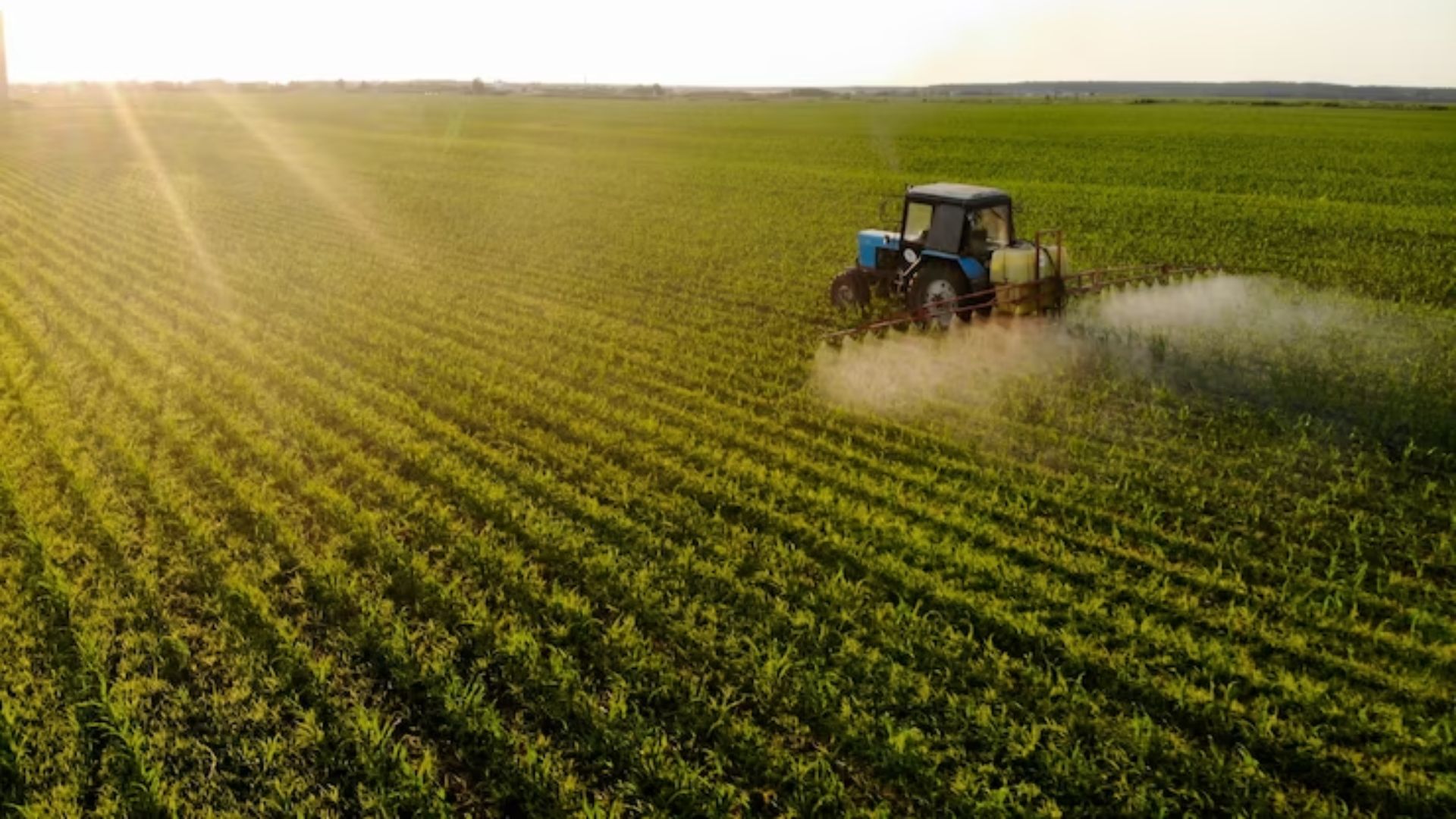 CRA ou LCA? Qual é o melhor título agrícola do mercado?