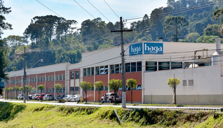 HAGA3: Cotação, Dividendos, Resultados e Como Invesrir?