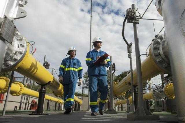 CGAS3: Cotação, Dividendos, Resultados e História