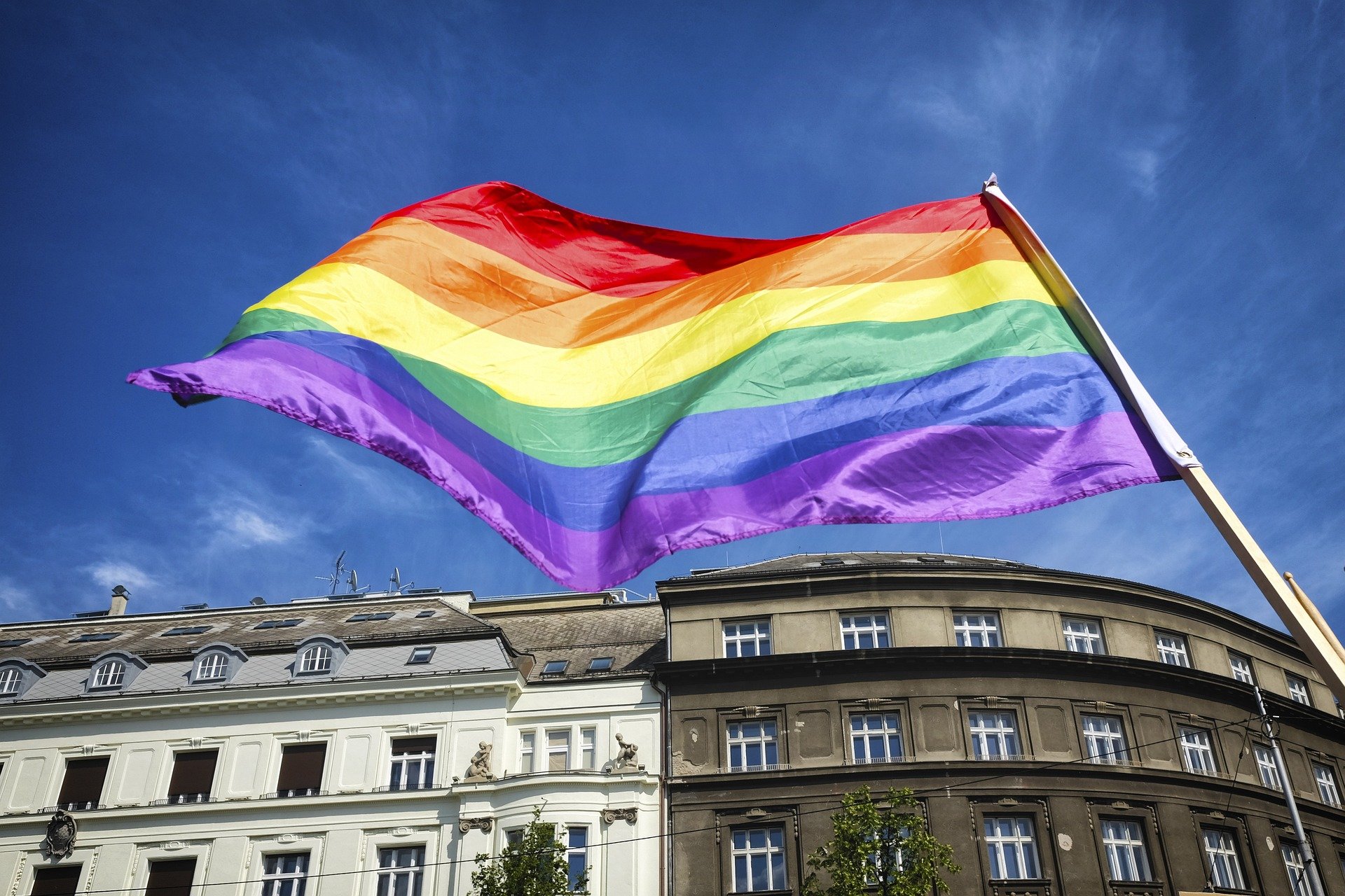 Dia do orgulho LGBT+