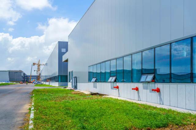 NEWL11 (Newport Logística): Cotação, Dividendos e Gráfico