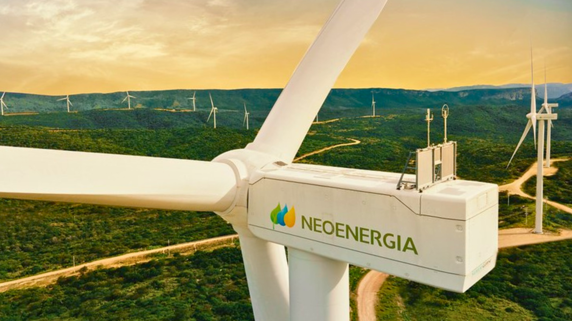 Pás eólicas da Neoenergia