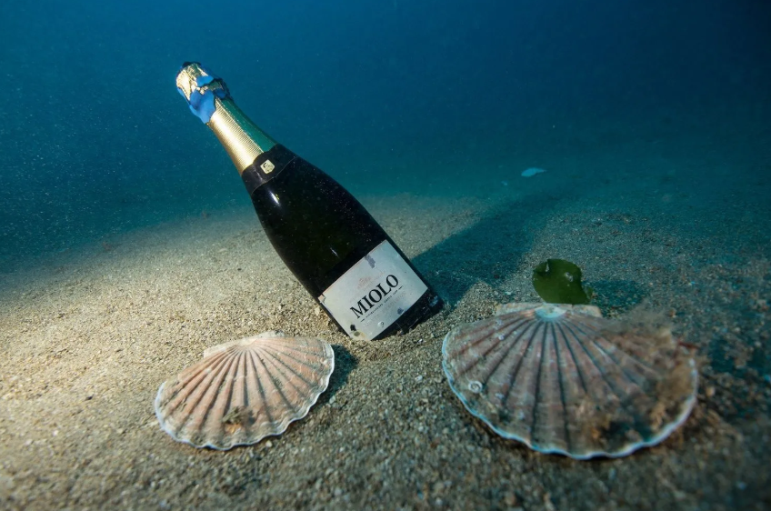 Espumante que ficou submerso no mar francês por 1 ano é colocado à venda