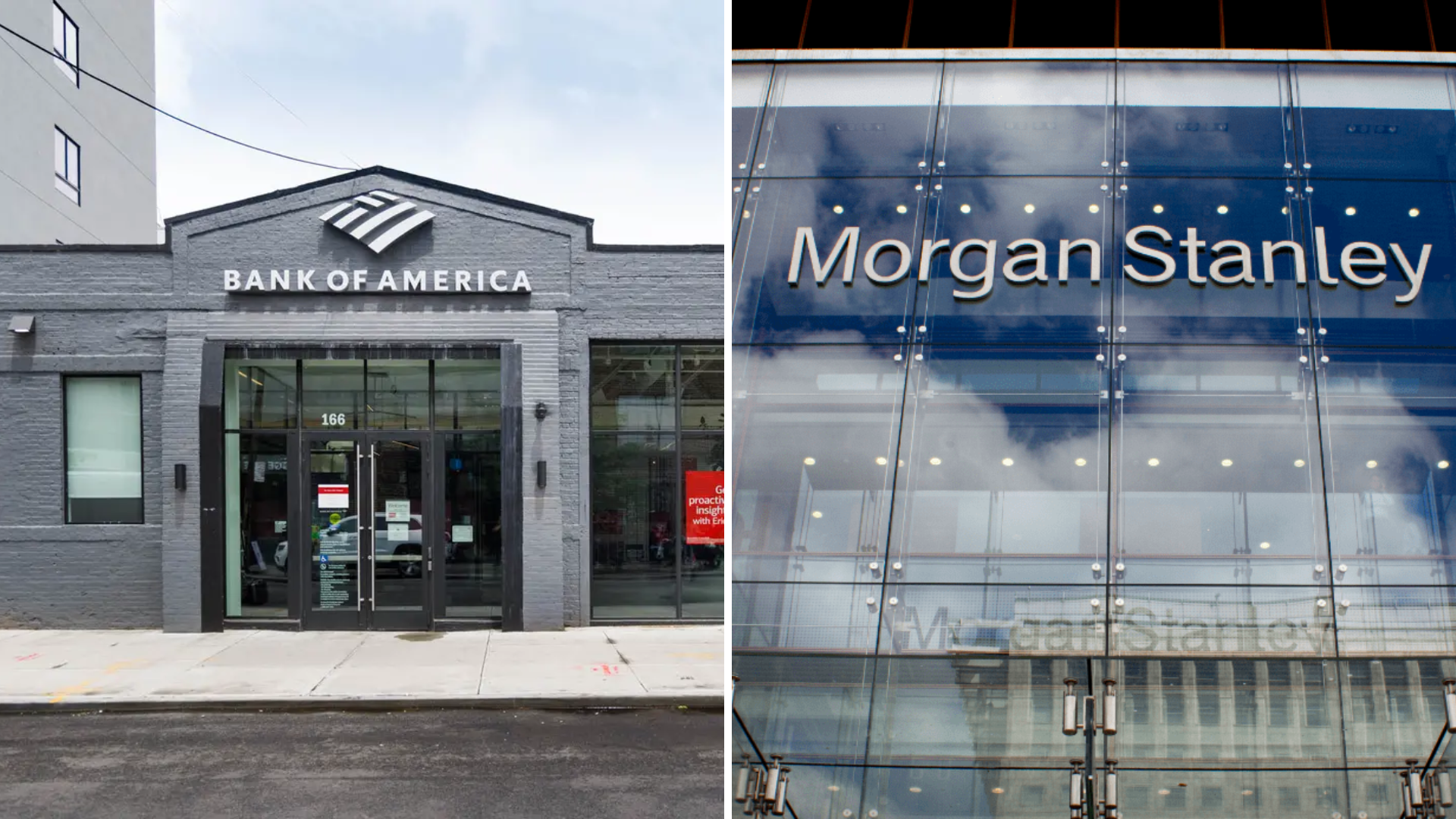 Bank of America e Morgan Stanley fecham 2024 com lucros expressivos e receitas recordes