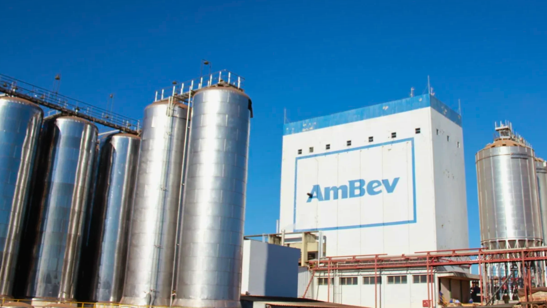 Ambev registra lucro de R$ 5,024 bi no 4TRI24, alta de 11%, e anuncia dividendos