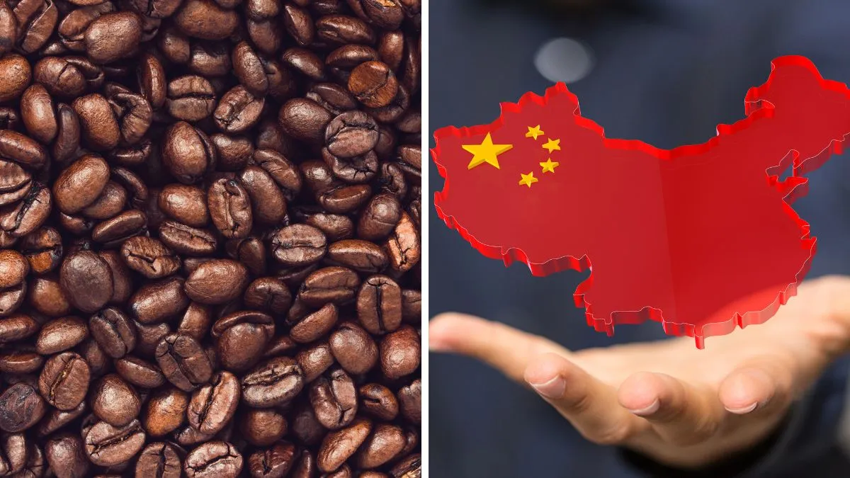 China abre mercado para 183 empresas brasileiras de café em meio a tarifas dos EUA