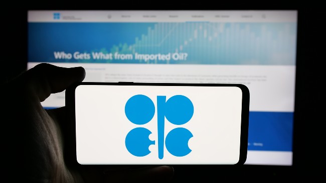 Opep+ mantém previsão de produção para o próximo ano