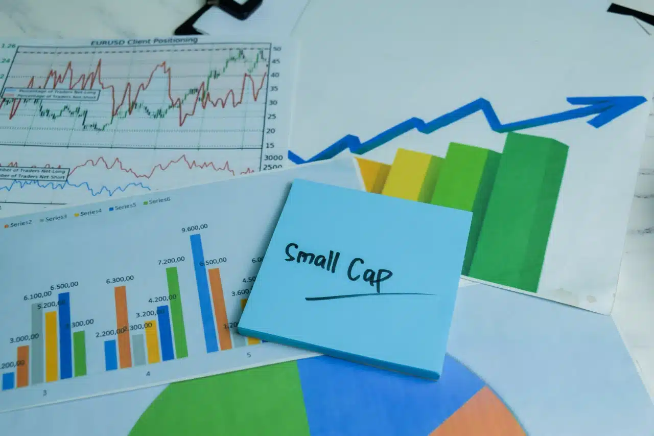 Foto para ações de small caps