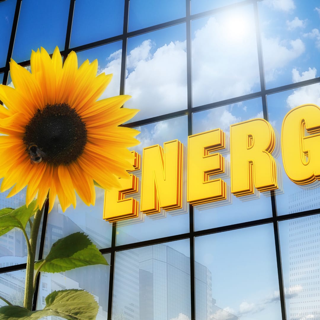 China domina o mercado de painéis solares no Brasil e fatura quase R$ 1 Bi