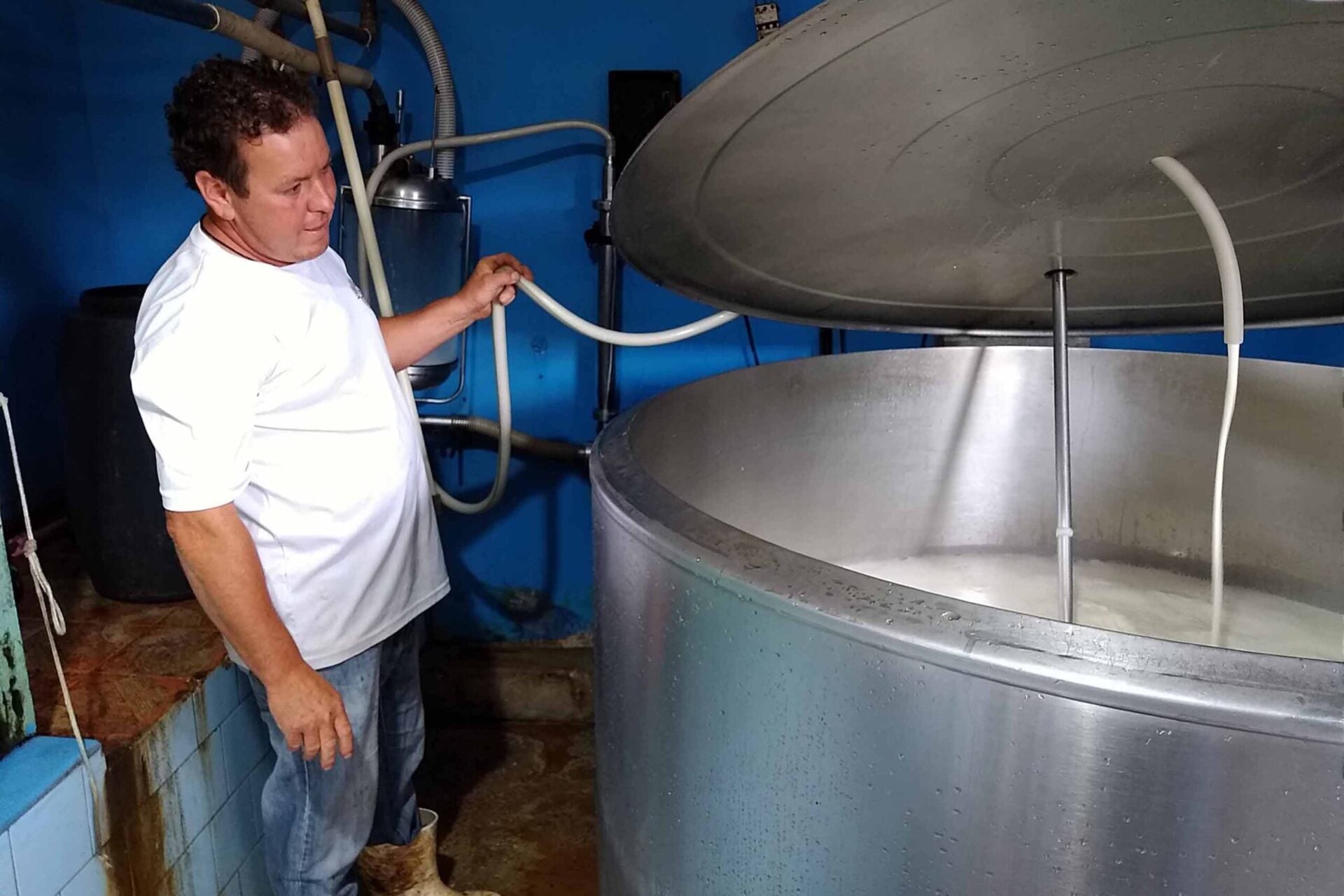 No PR, 5 mil produtores têm renda garantida com Programa Leite das Crianças
