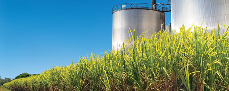 Etanol: Conselho dos EUA vê volta ao normal da produção global em 2022