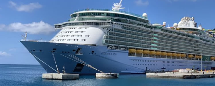 Royal Caribbean suspende operações em todo o mundo por causa do Covid-19