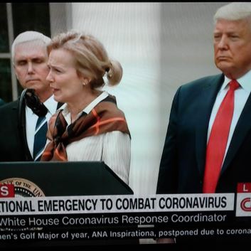 “Somos um modelo para o mundo”, diz Trump em Davos