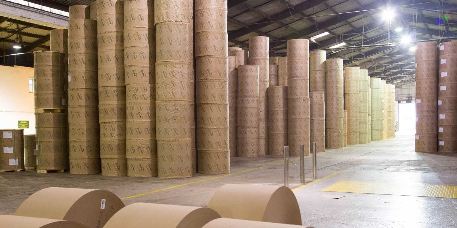 Irani Papel e Embalagem (RANI3): conheça a empresa