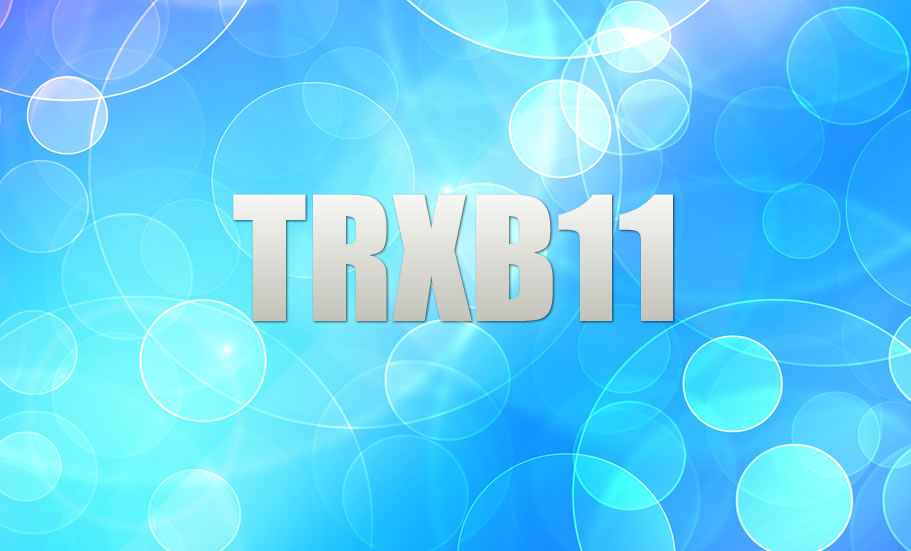 B3 (B3SA3): cotas do FII TRX R II começam a ser negociadas