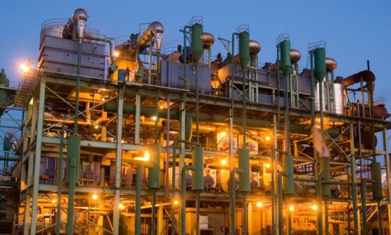 Biosev (BSEV3) tem prejuízo de R$ 280,8 mi no 1TRI da safra 2020/21