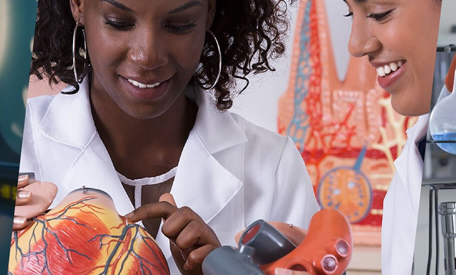 Ânima (ANIM3) confirma proposta à Laureate; Randon (RAPT4) vende ativos