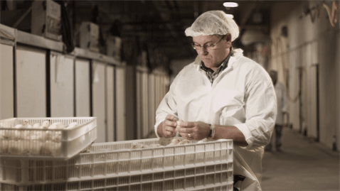 JBS (JBSS3): Pilgrim’s firma acordo de US$ 110,5 mi nos EUA