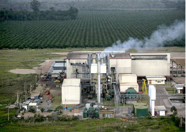 Vale (VALE3): Cade aprova venda da Biopalma para a BBF