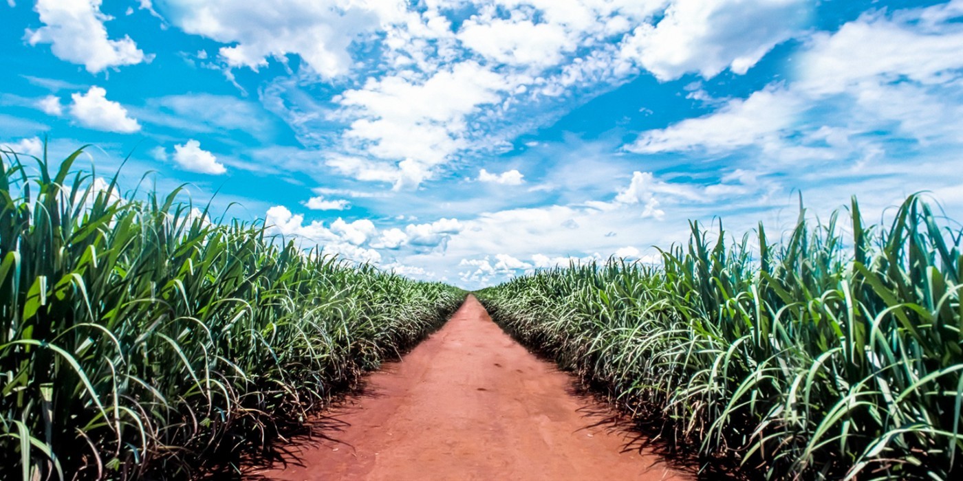 Voiter (IDVL3;IDVL4, ex-Daycoval) lucra 18,8% a mais no balanço do 1TRI21