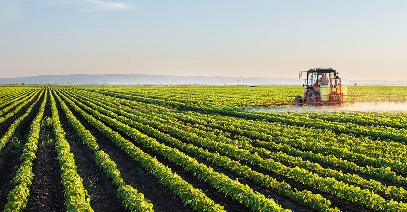 Agronegócio: 3TRI21 foi positivo para a maioria das empresas do setor