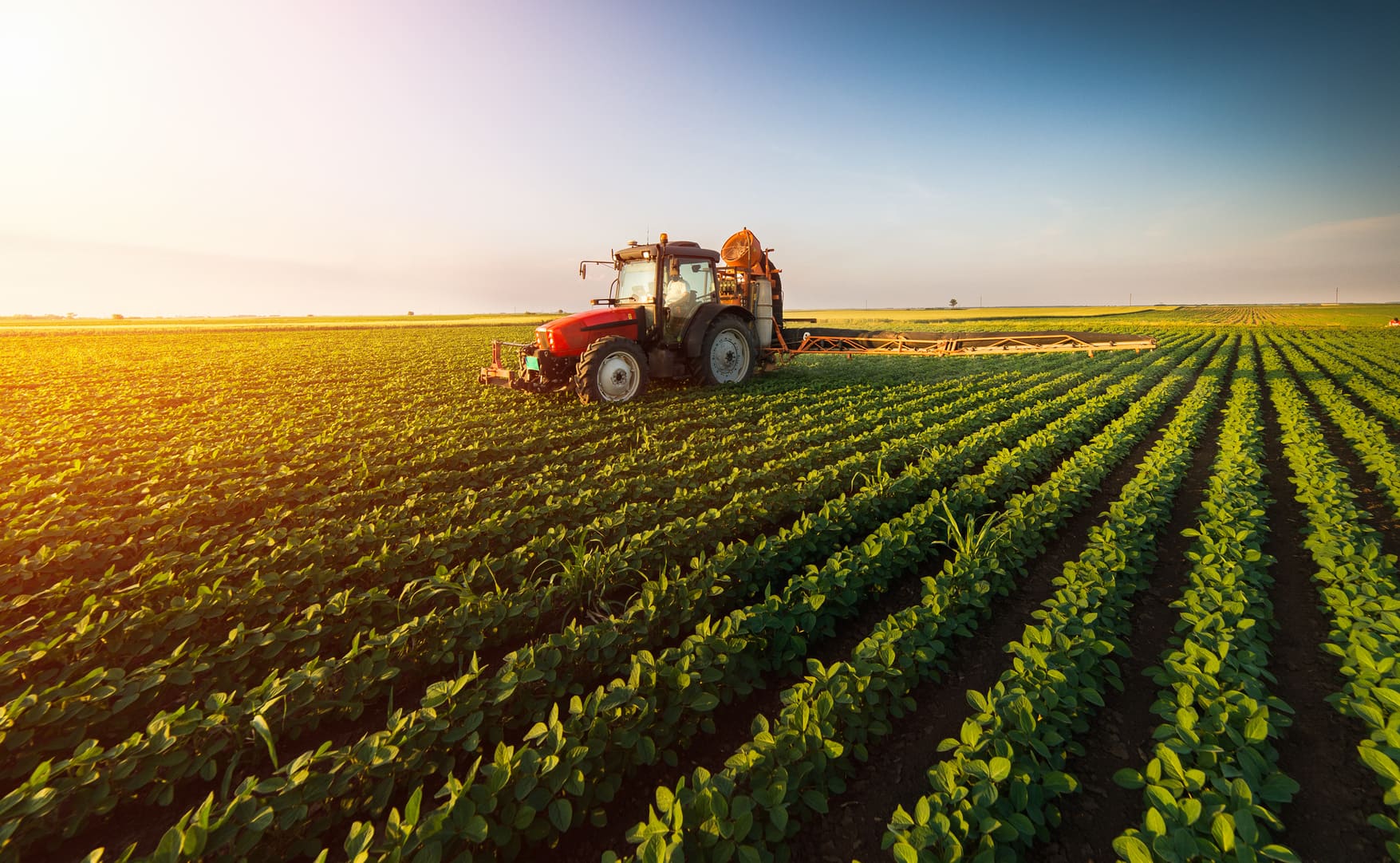 BTG (BPAC11) recomenda compra para BrasilAgro (AGRO3), ao preço-alvo de R$ 43