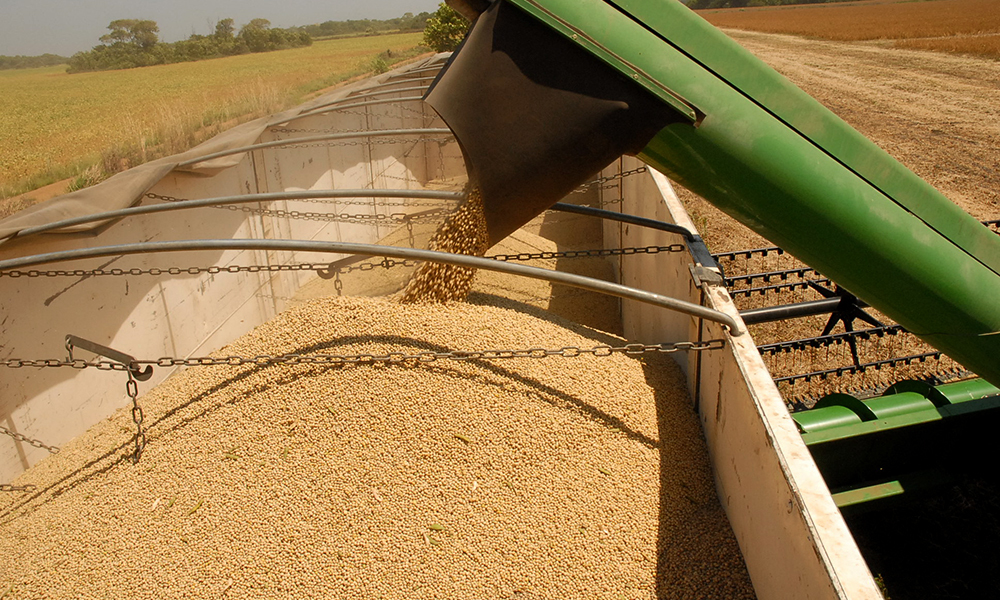 Conab: produção deve bater recorde de grãos com 4,2% a mais em 2020/21