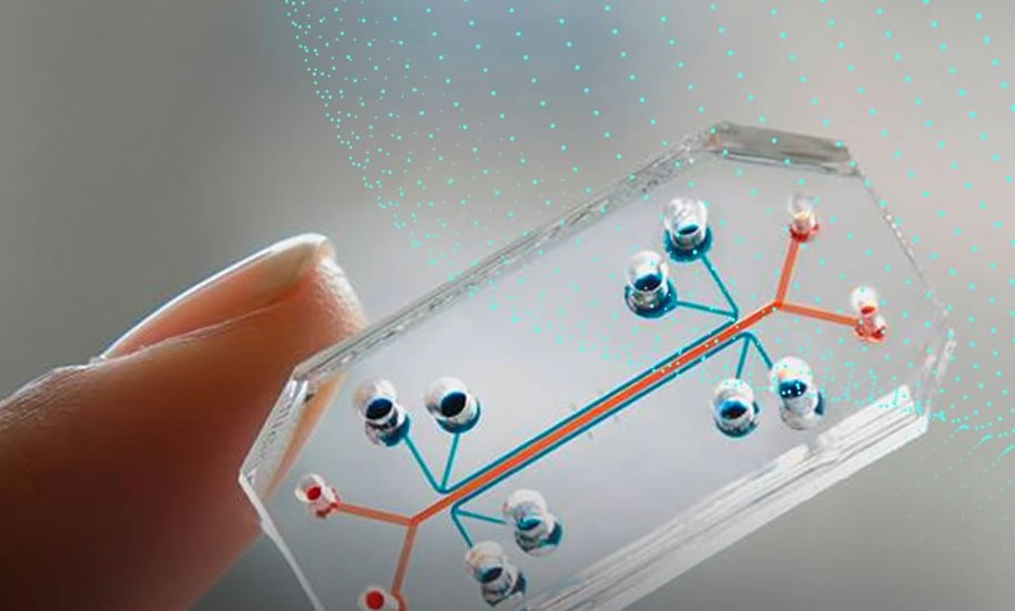 Dasa (DASA3) reverte prejuízo e tem lucro de R$ 224,9 mi no 1TRI21