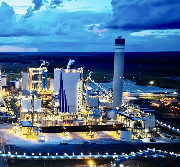 Suzano (SUZB3) sobe quase 40% em um ano: o que esperar?