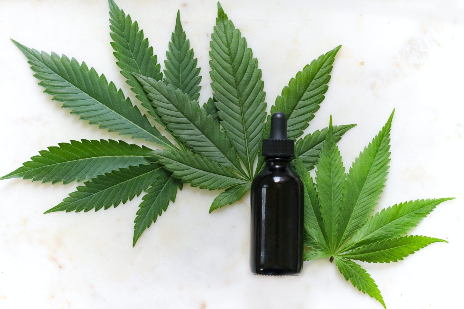 Cannabis: em decisão inédita, STJ autoriza cultivo para fins medicinais. Conheça esse mercado bilionário