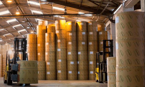  Copel (CPLE6) e Irani (RANI4) aprovam pagamento de dividendos 