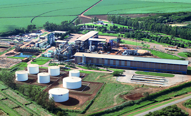 Small caps: Jalles Machado (JALL3) é a ação mais recomendada