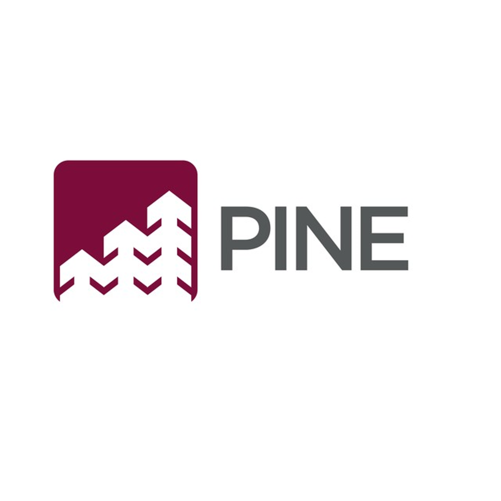 Banco Pine (PINE4)