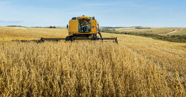 Cosan (CSAN3) lucra 40,3% a menos no balanço do quarto trimestre