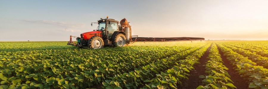 Nutriplant (NUTR3) tem queda de 90% no lucro em 2020