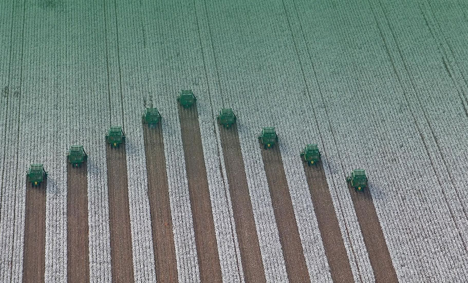 SLC (SLCE3) negocia compra de área agrícola da Terra Santa (TESA3)