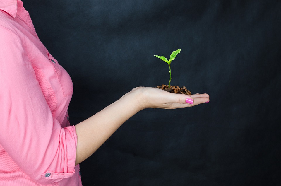 Agenda ESG: 6 opções de ações para investir em empresas sustentáveis