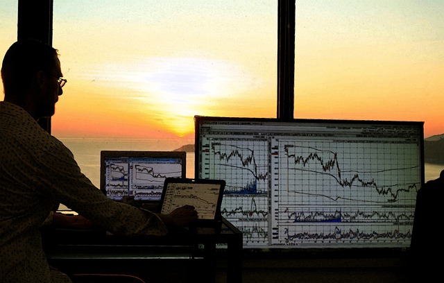 O que é acionista majoritário? Entenda tudo sobre o tema