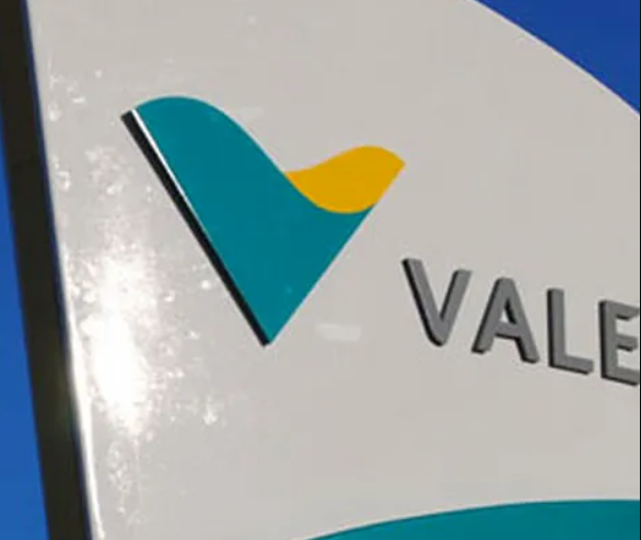 Vale (VALE3): conselho nomeia novos membros do Comitê de Auditoria